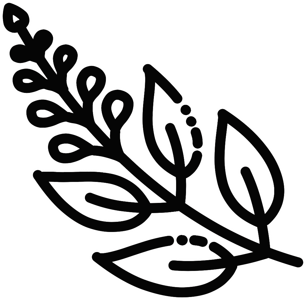 simple black line drawing of a leaf of sage